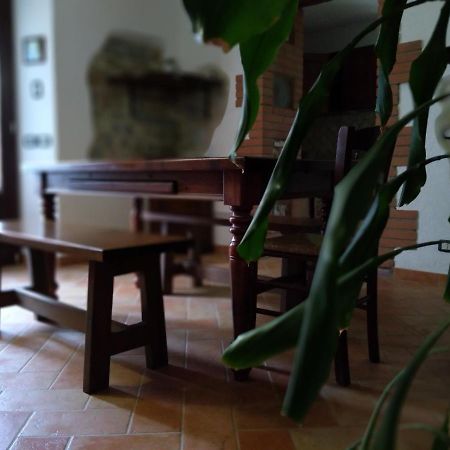 Agriturismo Il Pozzo Campagnatico Экстерьер фото