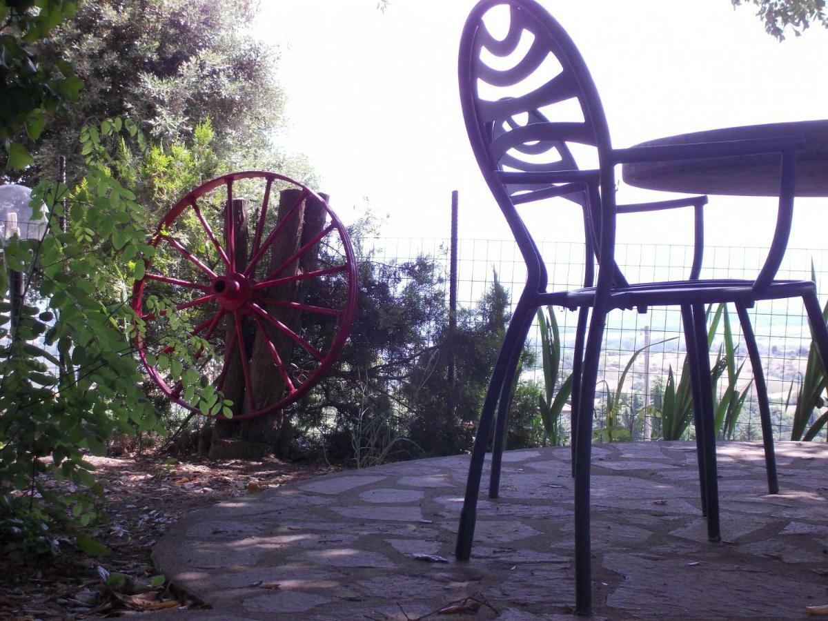 Agriturismo Il Pozzo Campagnatico Экстерьер фото